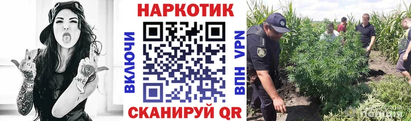 Виды наркотиков купить Нестеров Гашиш A PVP Меф мяу мяу Канабис