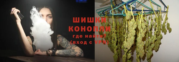 ГАЛЛЮЦИНОГЕННЫЕ ГРИБЫ Баксан