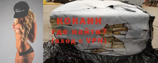 индика Снежинск