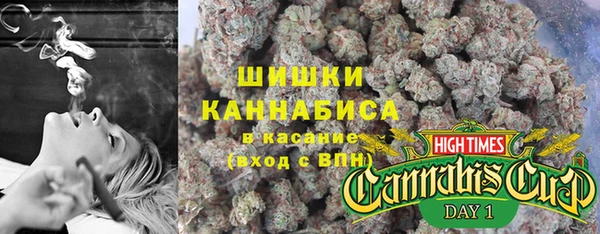 ГАЛЛЮЦИНОГЕННЫЕ ГРИБЫ Баксан