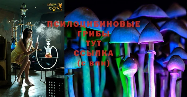 ГАЛЛЮЦИНОГЕННЫЕ ГРИБЫ Баксан